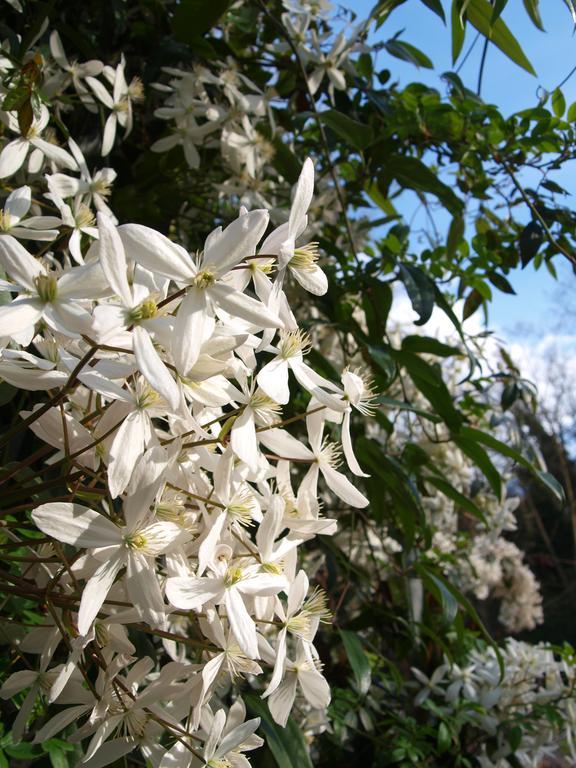 Gite Au Jardin Meilhan-sur-Garonne Room photo