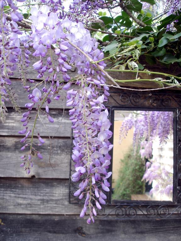 Gite Au Jardin Meilhan-sur-Garonne Room photo