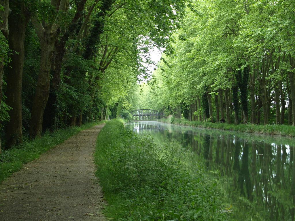 Gite Au Jardin Meilhan-sur-Garonne Room photo