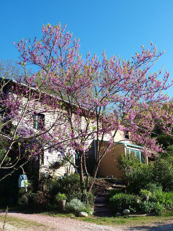 Gite Au Jardin Meilhan-sur-Garonne Room photo