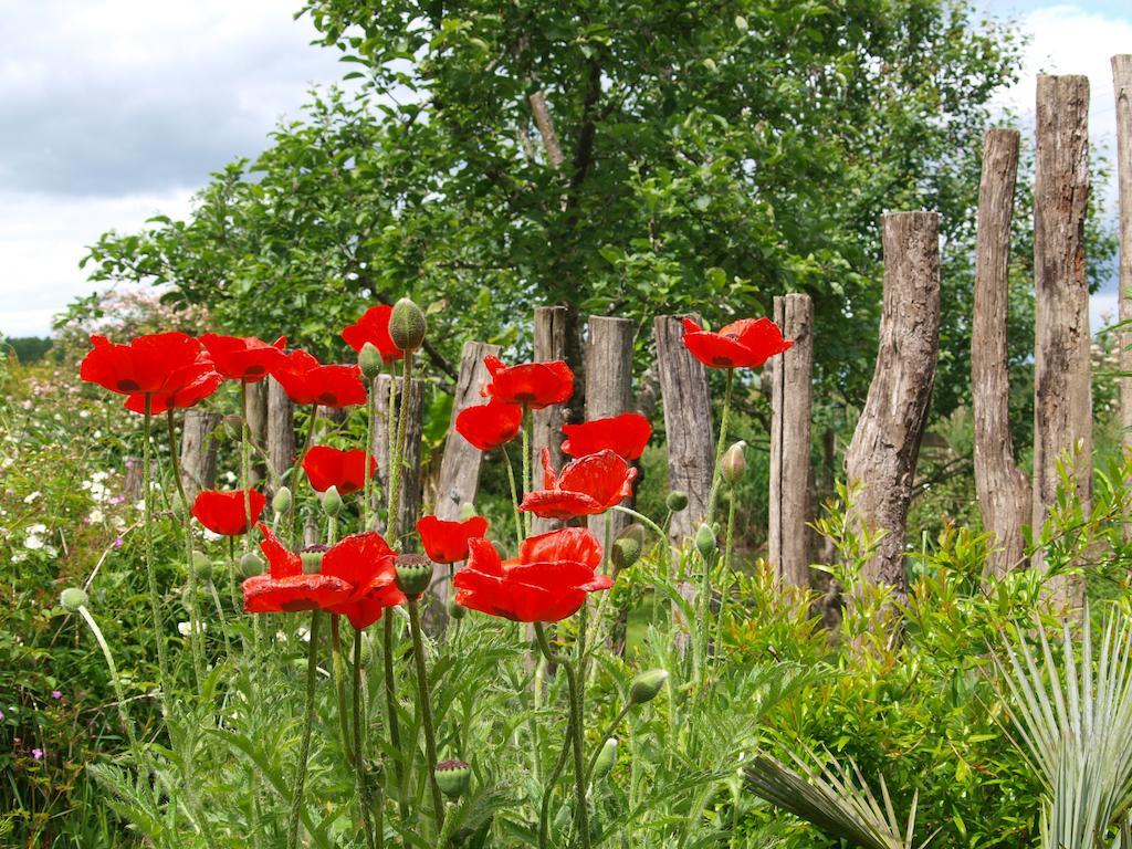 Gite Au Jardin Meilhan-sur-Garonne Room photo