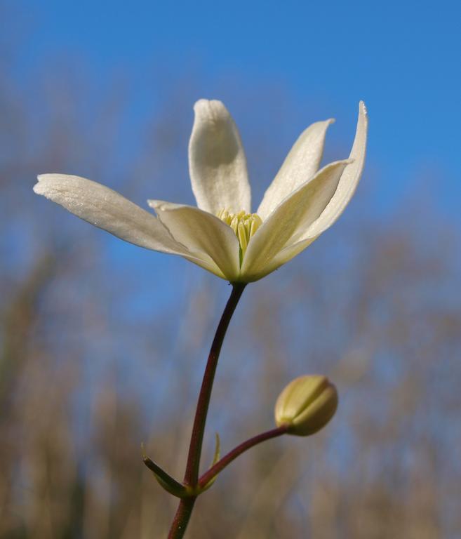 Gite Au Jardin Meilhan-sur-Garonne Room photo