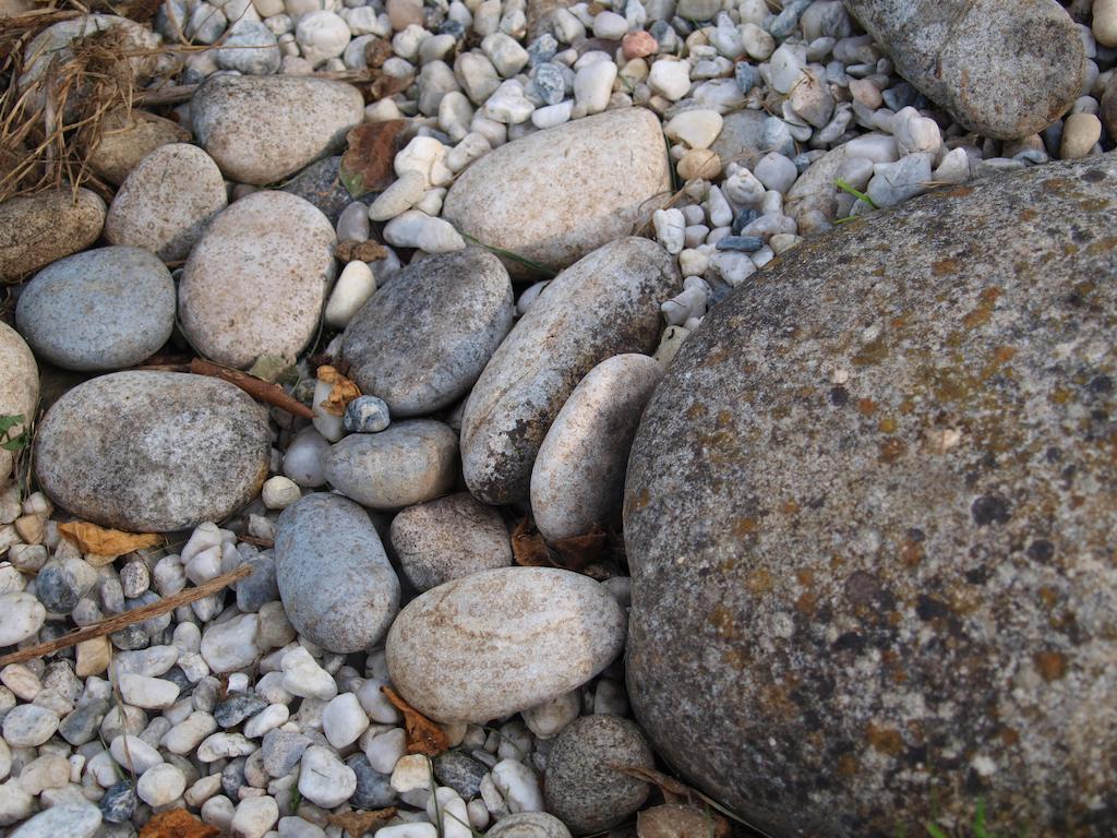 Gite Au Jardin Meilhan-sur-Garonne Room photo