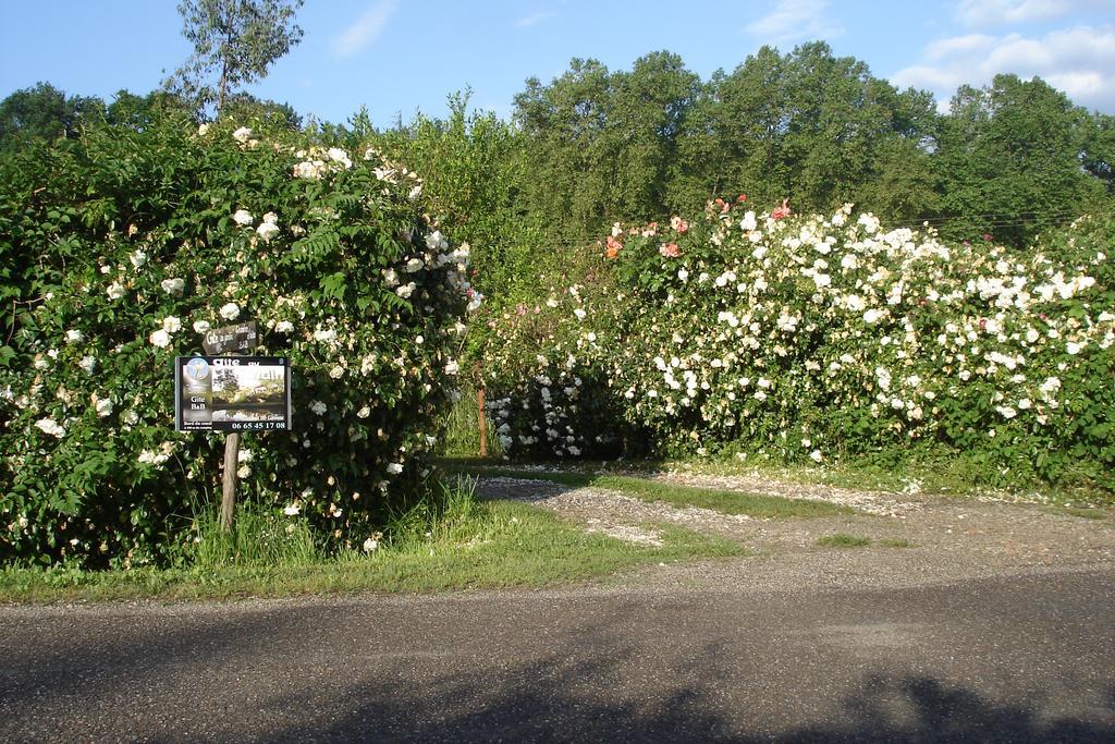 Gite Au Jardin Meilhan-sur-Garonne Exterior photo